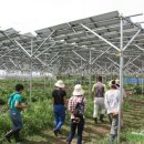 발전농장 이미지