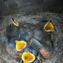 설봉1차 푸르지오 이미지