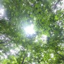 잠시 멈췄던 걸음/🌿섶 이미지