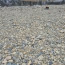 홍천장작마을㈜ | 혼자가본 수주팔봉 캠핑장 노지솔캠 명당자리