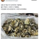 지금 굴 먹고 벌어지는 문제들은 분뇨문제가 원인이 아닙니다. 이미지