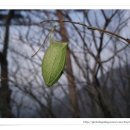 개구리집 이미지