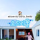 오드리물 이미지