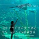 오르세 미술관으로 떠나는 여행 제2부 | [제주] 아쿠아플라넷 오픈런 후기 주차, 공연시간, 할인 관람꿀팁(제주 아이랑 실내)