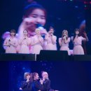 하이버디 이미지