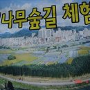 대밭 이미지