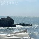 블루밍캠핑장 이미지