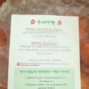 안다미로 | [과즙팡팡 고당도 천혜향] 안다미로농원 꿀 천혜향 후기 #지인선물