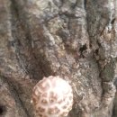 행복한휴식 이미지