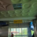 송정둑길 | 2020.10.17서울숲과 송정제방둑길 걷기