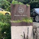 메종드마레 | 부산 만덕 브런치｜메종드마레 방문 솔직 후기