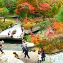 2015.10.17-18 1박2일. 꿈의화원 곤지암 화담숲길 -천상의 화원 야생화의 보고 곰배령 이미지