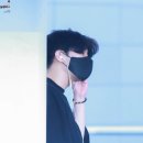 딸기나라 이미지