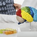 이푸른요양병원 이미지