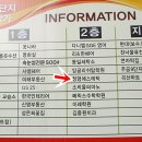 정형에스테틱