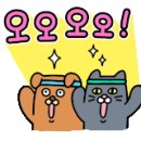 주식회사 디보바인 이미지