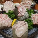 사거리횟집 티스토리