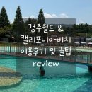 해피썬 | 경주월드 &amp; 캘리포니아 비치 이용후기, 주차장, 먹거리, 썬베드, 드라켄, 놀이기구 등 꿀팁방출