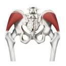 영짐(YOUNG GYM) 이미지