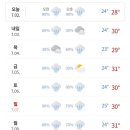 진미가효 이미지
