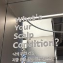 아름드리스킨케어 | 강남역 놀거리 올리브영 ｜무료 퍼스널컬러·두피검사에 고데기 까지