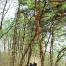 자운대네거리~화암네거리 이미지