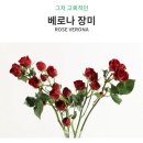 베로나플라워 이미지