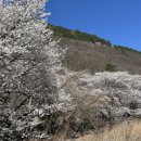 마음애고향 이미지