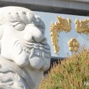 청사로-9 이미지