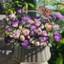 운정블라썸꽃집 이미지