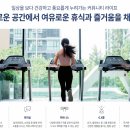 에일린의하루 이미지