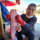 잠뱅이수산 이미지