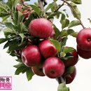 천안실버타운 이미지