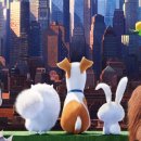 The secret life of pets 2 이미지