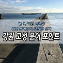 문암1리항 | 강원 고성 워킹 보도 문어낚시 포인트 총정리