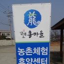 압해도 용마을 이미지