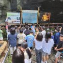 김녕초등학교 이미지