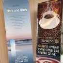 코람데오이레