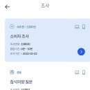 패널