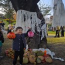 진영단감시장 공중화장실 | 경남 김해 진영 단감마을 트릭나잇 축제 다녀온 후기