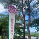 신기마을(연꽃세상) | 시흥 가볼만한 곳 추천/연꽃테마파크와 연잎 아이스크림 후기