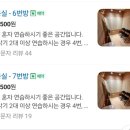 클로하 음악연습실 | 서현역 음악 연습실 클로하 내돈내산 후기 : 기타 golden 연습
