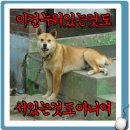 새벽 네이버블로그