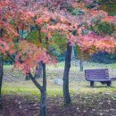 시루봉산성甑峰山城 | 가을의 끝자락, 11월에 떠나는 담양여행-금성산성,죽녹원