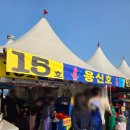 15호용신호