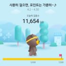 영남알프스숲길사회적협동조합 | 2025 교원힐링캠프 (부산광역시교육청) - "자연 속 쉼표 : 오감 힐링 여정"