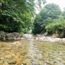 물한계곡 소나무펜션 이미지