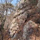 응봉산농장 이미지