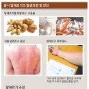 99식품