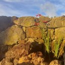 상송하우스 이미지